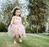 Little Princess Feathers And Ruffles Dress Dresses Little Palace Store